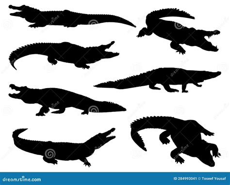 Illustrazione dell'evoluzione dei coccodrilli da antichi antenati