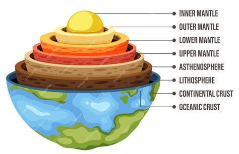Diagramma che mostra il nucleo assorbente e il tessuto traspirante di un pannolino