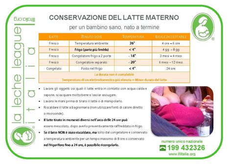 Kit per l'estrazione e conservazione del latte materno