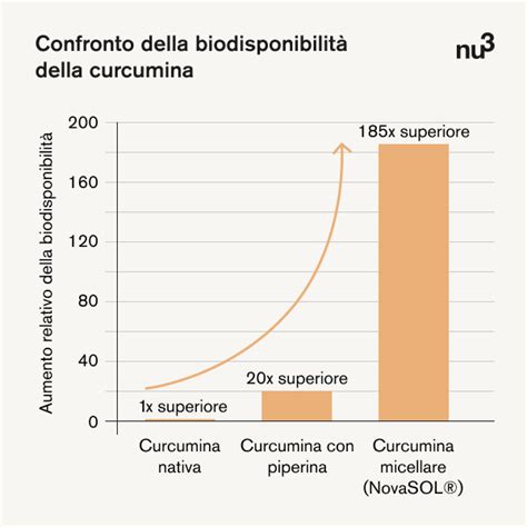 Infografica che mostra l'aumento della biodisponibilità della curcumina con pepe nero e grassi