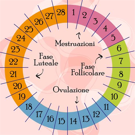 Schema del ciclo mestruale con indicazione dei giorni fertili
