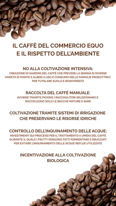 Raccoglitori di caffè che selezionano manualmente le ciliegie mature