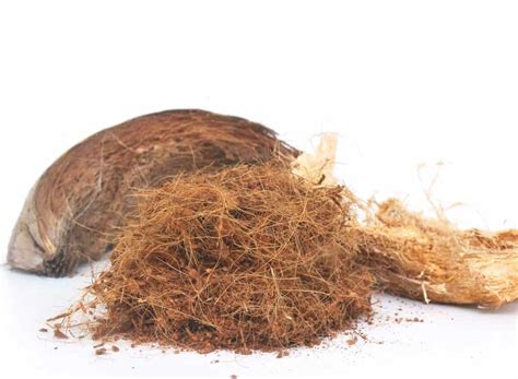 Particelle di torba e fibra di cocco disgregate