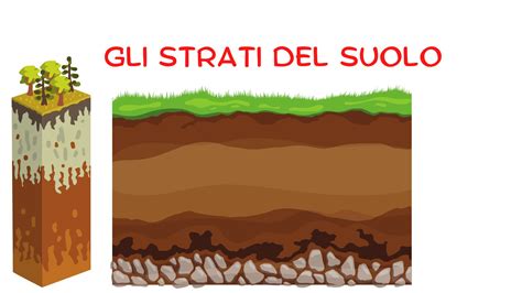Struttura del suolo