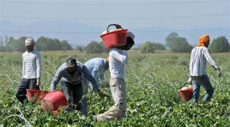 Immagine simbolica di un campo di lavoro forzato