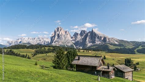 Panorama dell'Alpe di Siusi con le Dolomiti sullo sfondo