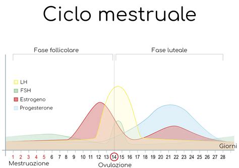fluttuazioni ormonali nel corpo femminile