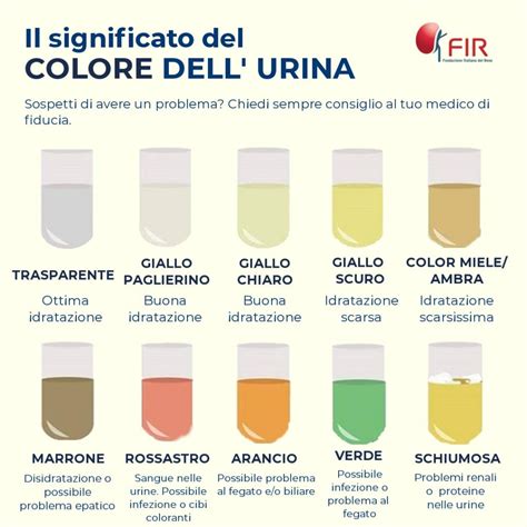 illustrazione di urine e feci che irritano la pelle