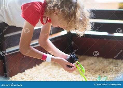 bambino che osserva una serie di oggetti