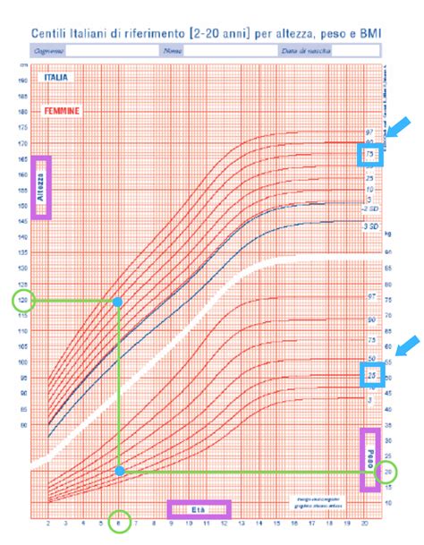 Diagramma delle curve di crescita pediatriche