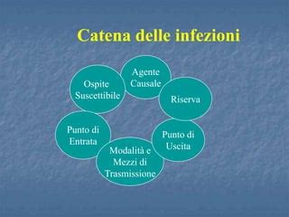 Schema del ciclo di trasmissione delle infezioni ospedaliere