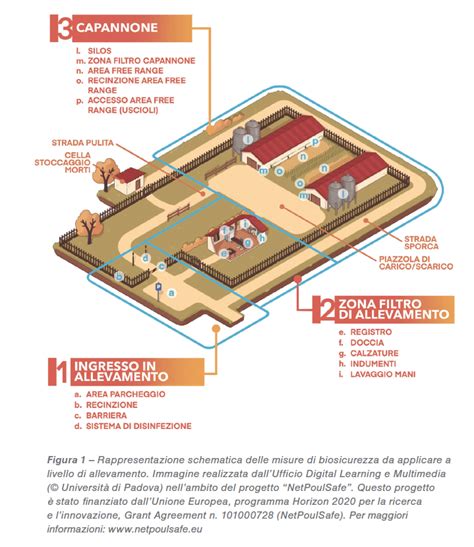 Schema riassuntivo delle misure di biosicurezza in un allevamento ovino
