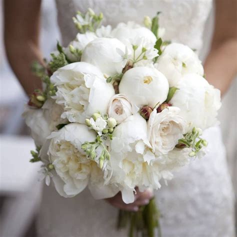 Bouquet di peonie bianche