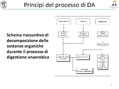 Schema riassuntivo del processo di donazione di sperma