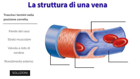 Struttura di una compressa di Artrotec
