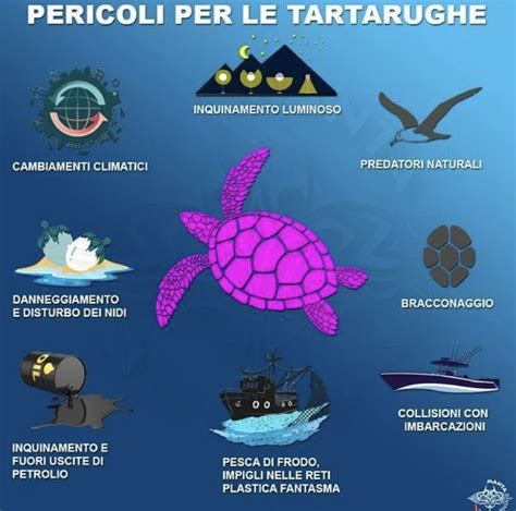 Infografica sui pericoli che minacciano le tartarughe marine