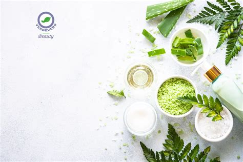 ingredienti naturali per creme