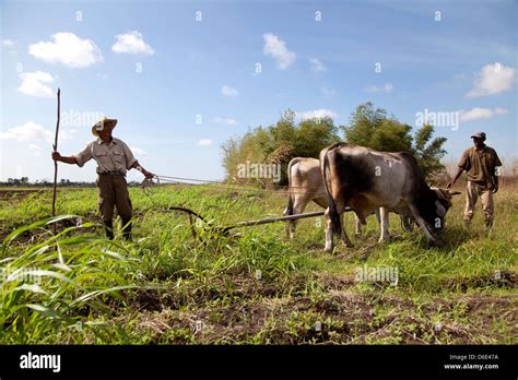 Contadini al lavoro nei campi con variazioni meteorologiche