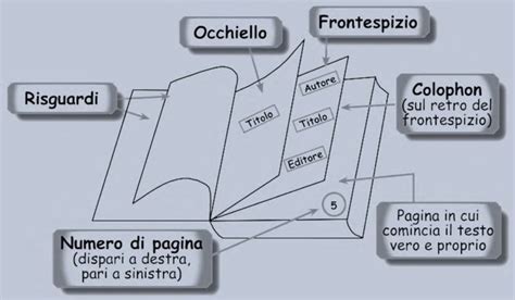 Diagramma che mostra la struttura di un pannolone traspirante