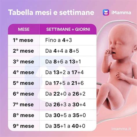 Calendario con le ultime settimane di gravidanza segnate