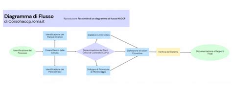 Diagramma che illustra la diffusione dei batteri dalla bocca alla placenta