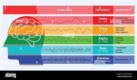 Grafico EEG che mostra la reazione cerebrale di un neonato alla musica
