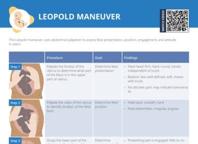 Schema delle Manovre di Leopold
