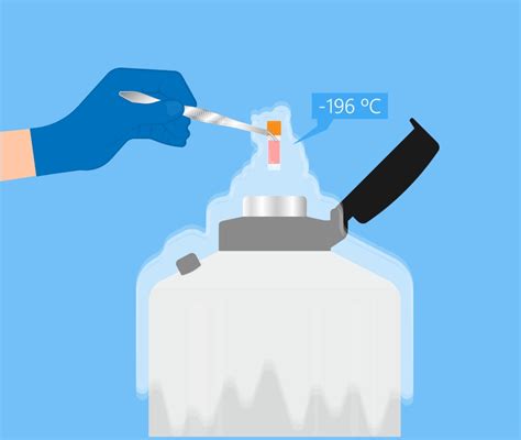 Laboratorio di crioconservazione