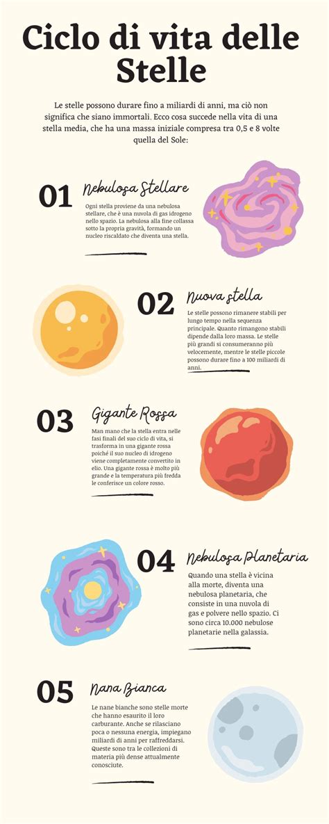 Schema del ciclo di vita della flora vaginale