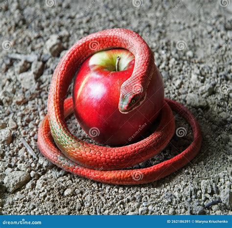 Serpente avvolto attorno a una figura umana
