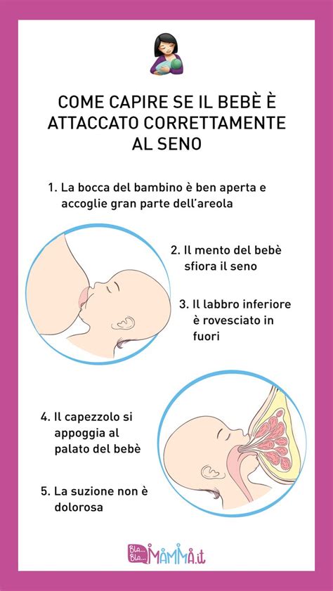 Illustrazione dell'attacco corretto al seno con focus sull'areola