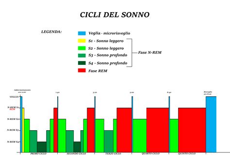 Grafico che mostra le fasi del sonno infantile