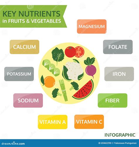 Illustrazione dei nutrienti chiave nel pomodoro: Vitamina C, Acido Folico, Licopene, Potassio