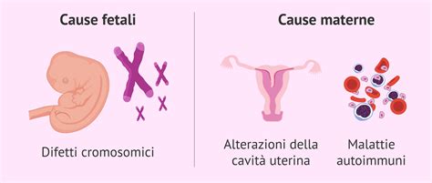 Schema che illustra le diverse cause di aborto spontaneo