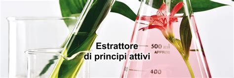Infografica che mostra i principali principi attivi dell'Erisimo e le loro azioni.