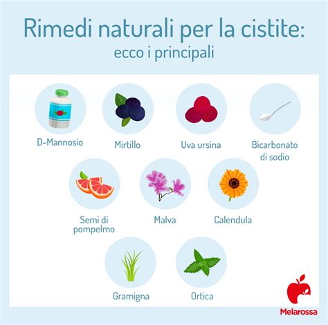 Infografica sui rimedi naturali per la cistite