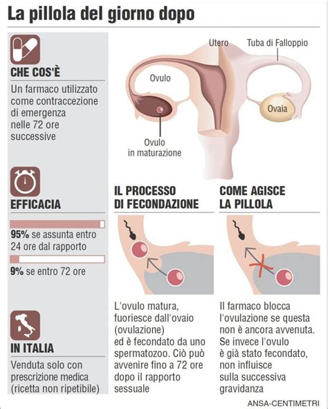 Schema del funzionamento della pillola anticoncezionale
