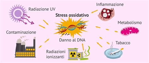 Schema che illustra lo stress ossidativo e il suo impatto sugli spermatozoi