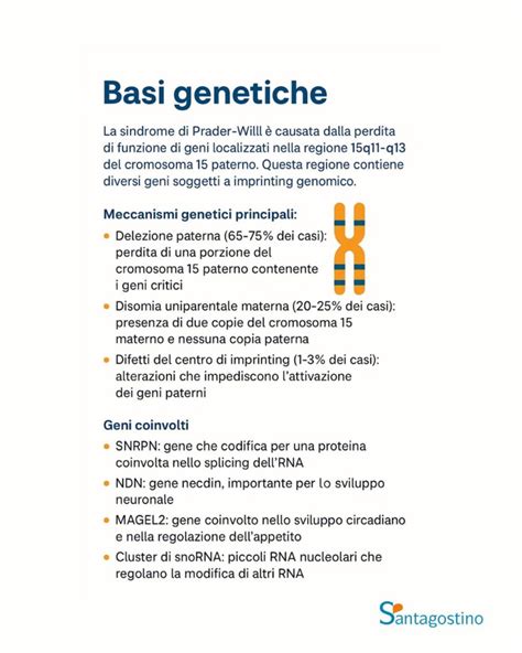Schema del cromosoma 15 con geni coinvolti nella Sindrome di Prader-Willi