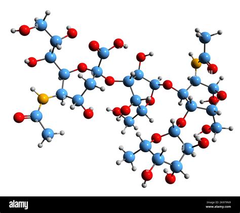 Struttura molecolare dell'antigene HLA-B27