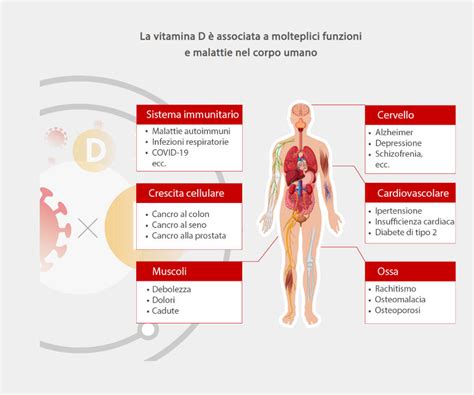 Grafico che mostra la correlazione tra livelli di Vitamina D e rischio di infezioni respiratorie