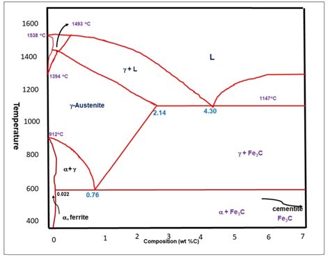 Grafico sull'assorbimento del ferro da diverse fonti alimentari