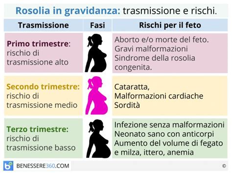Diagramma che illustra gli effetti della rosolia sul feto a seconda del trimestre di gravidanza