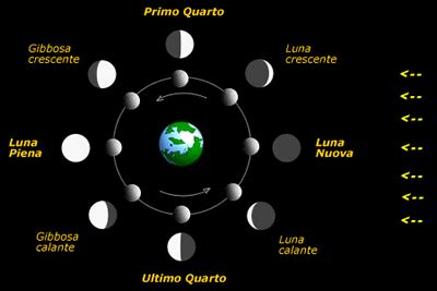 Infografica che mostra le fasi lunari