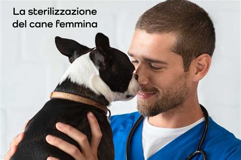 cane femmina in salute