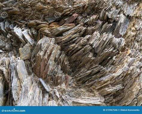 Strati rocciosi del Giura con fossili