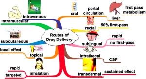 Diagramma che illustra le diverse vie di somministrazione dei farmaci nei bambini