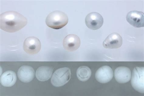 Confronto visivo tra una perla naturale e una perla di coltura