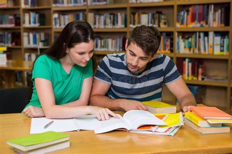 Studenti che studiano in una biblioteca a Mantova