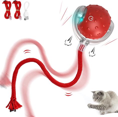 Giocattoli interattivi per gatti